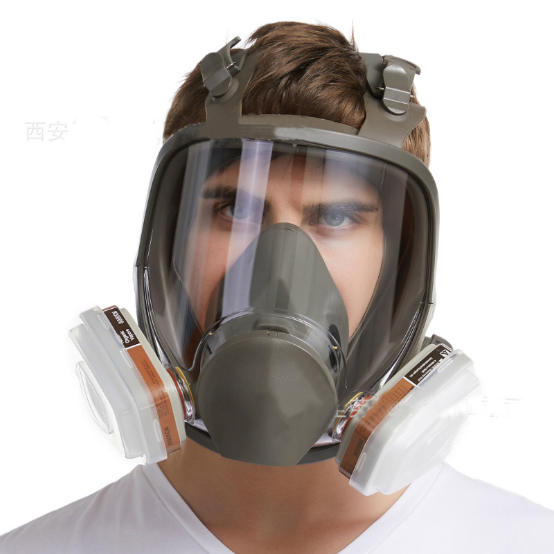 Anti-Fog Dustproof 6800 Full F - Anti Pollution Mask 评论和价格
